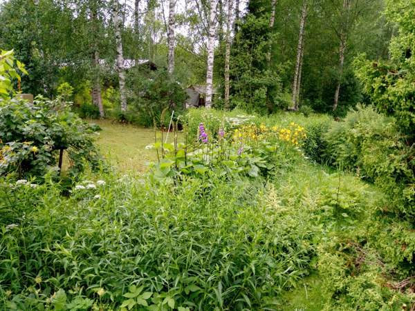 4h + k + s +kph + wc + vh + at +var  Joroinen - valokuva 3