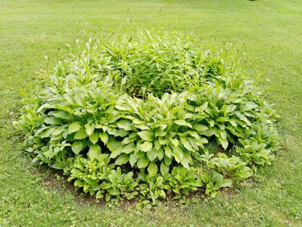 4h + k + s +kph + wc + vh + at +var  Joroinen - valokuva 5