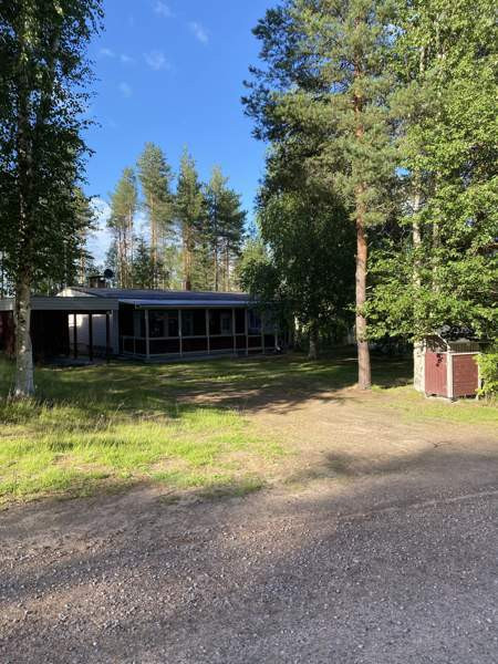 4h + k + s  Лодейное Поле - изображение 3