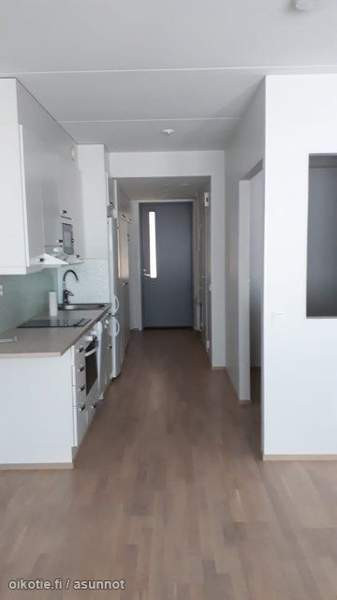 1h + kk + alk + s  Коккола - изображение 2