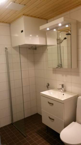 1h + kk + alk + s  Коккола - изображение 5