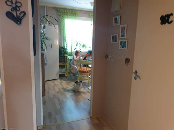 3h + k + p  Каяни - изображение 6