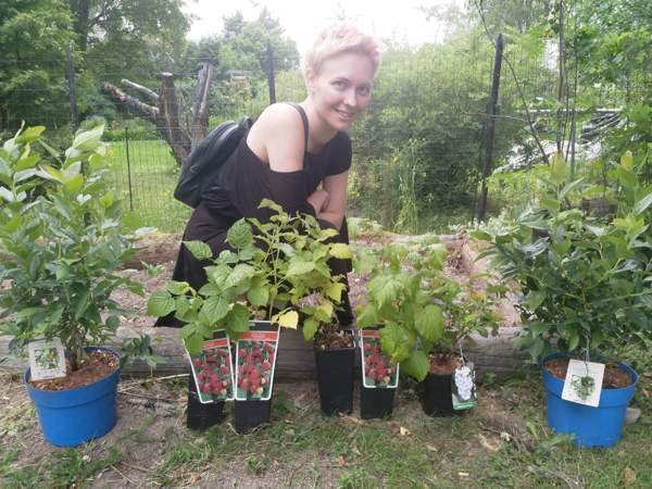 2h + k  Тампере - изображение 7