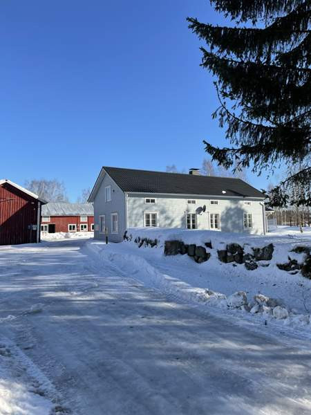 5h + k + s  Kurikka - valokuva 1