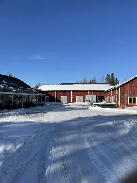 5h + k + s  Kurikka - valokuva 5