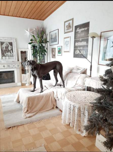 4h + k + s  Imatra - photo 8