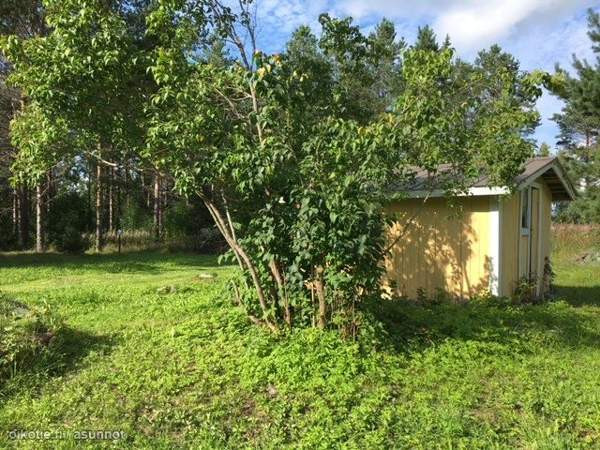 1h + avok  Savonlinna - valokuva 8