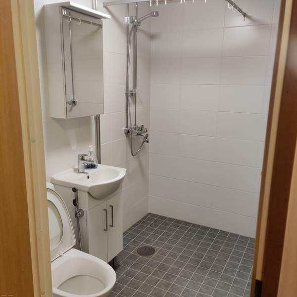 1h + k + s  Joutsa - изображение 6