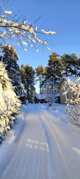 3h + k+kph+kuisti+h+h  Rauma – foto 1