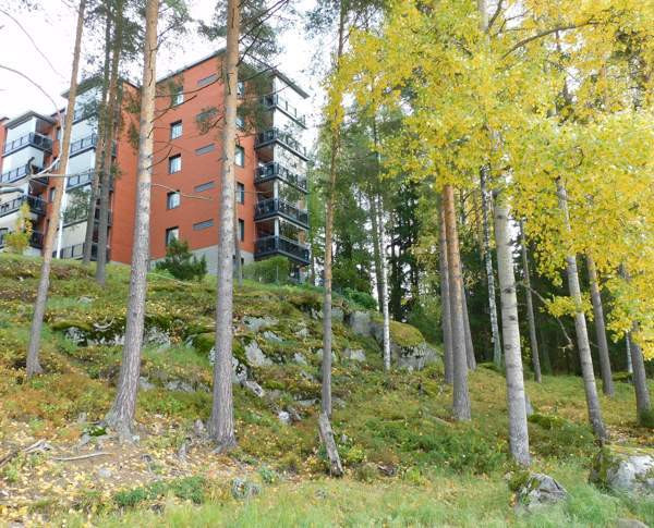 4h + avok + s + p  Siilinjaervi – foto 5