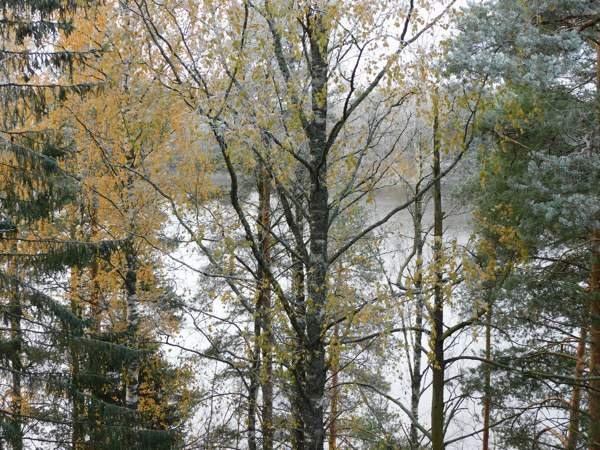 4h + avok + s + p  Siilinjaervi – foto 3