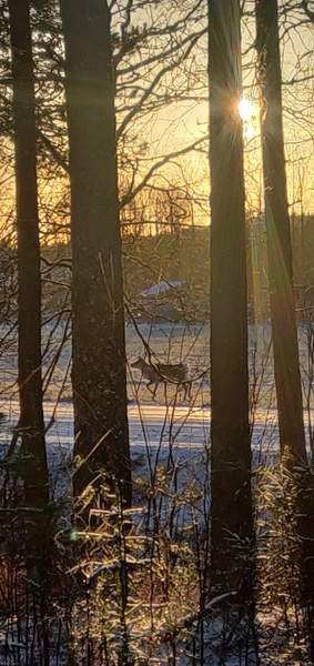 10h + k + s + muita tiloja  Лодейное Поле - изображение 6