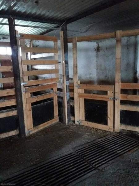 7h  Kannonkoski – foto 4