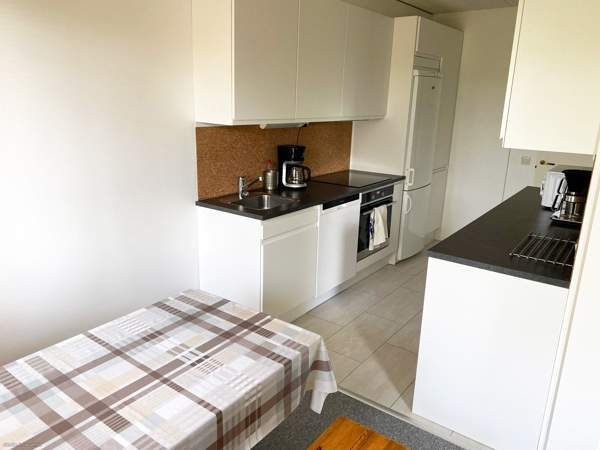 3h + k + s  Joutsa - изображение 4