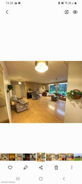 5h + k + s  Ranua - valokuva 7