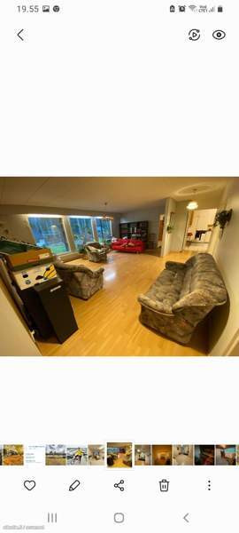 5h + k + s  Ranua - valokuva 8