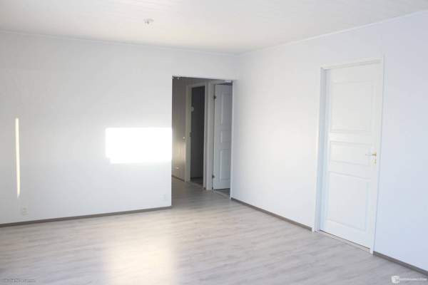 3h + k + s  Kurikka - valokuva 6