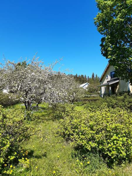 5h + k + s  Глебычево - изображение 6