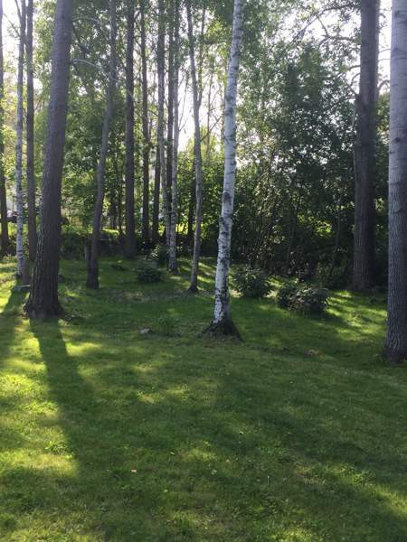 3mh + oh + k + ph + s + wc + khh + vh  Mänttä-Vilppula – foto 6