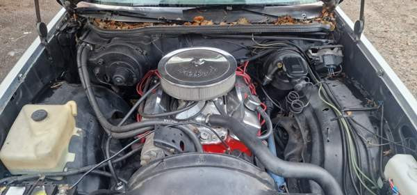 Chevrolet El Camino Muurla - valokuva 6