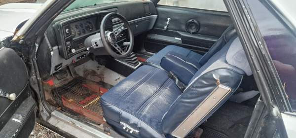 Chevrolet El Camino Muurla - valokuva 5