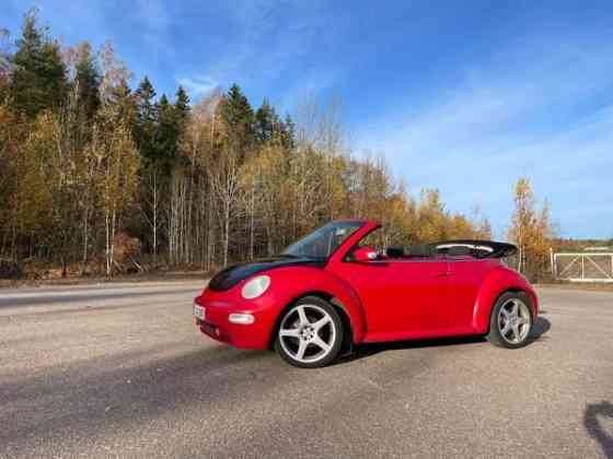 Volkswagen New Beetle Котка