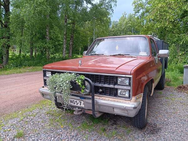 Chevrolet C20 Kotka - valokuva 8