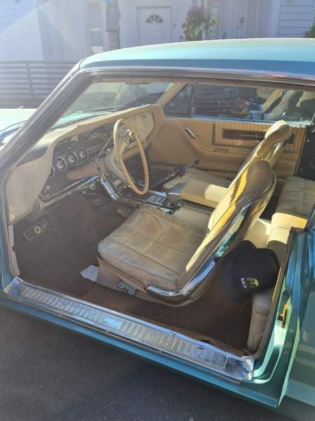 Ford Thunderbird Siikajoki - изображение 8