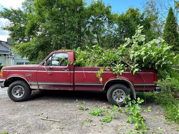 Ford F150 Turtkul - valokuva 2