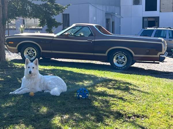 Ford Ranchero Kirkkonummi - valokuva 3