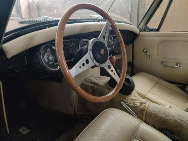Austin Healey Muhos - photo 6