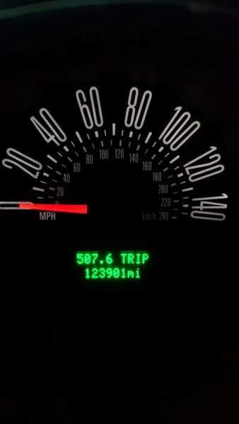 Ford Mustang Raasepori - valokuva 3