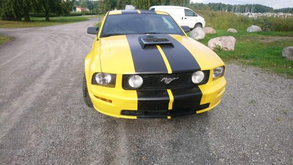 Ford Mustang Raasepori - valokuva 1
