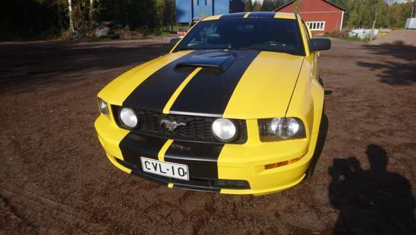Ford Mustang Raasepori - valokuva 5