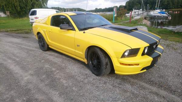 Ford Mustang Raasepori - valokuva 4