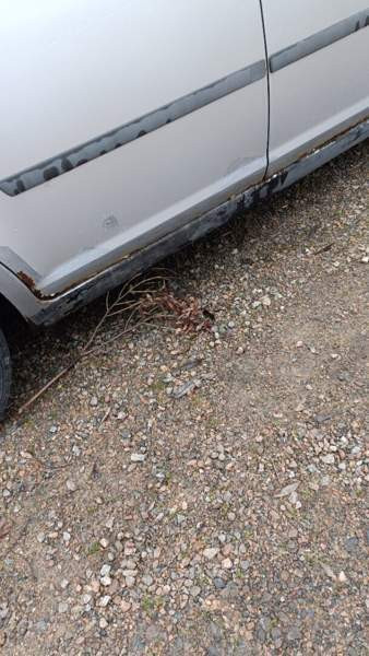 Ford C-Max Luga - valokuva 3