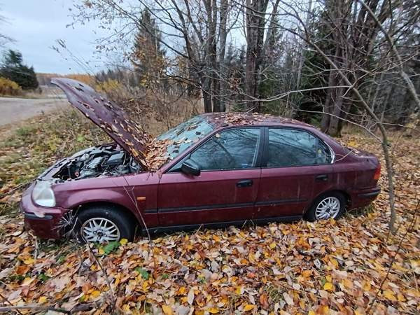 Honda Civic Tuusniemi - photo 7