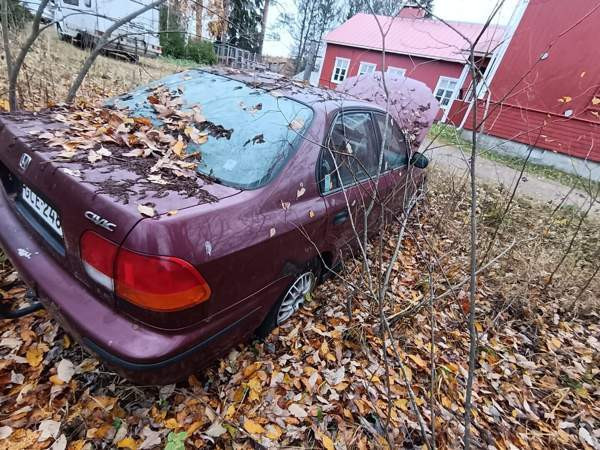 Honda Civic Tuusniemi - valokuva 1