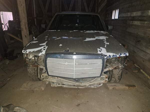 Mercedes-Benz SE Merikarvia - valokuva 3