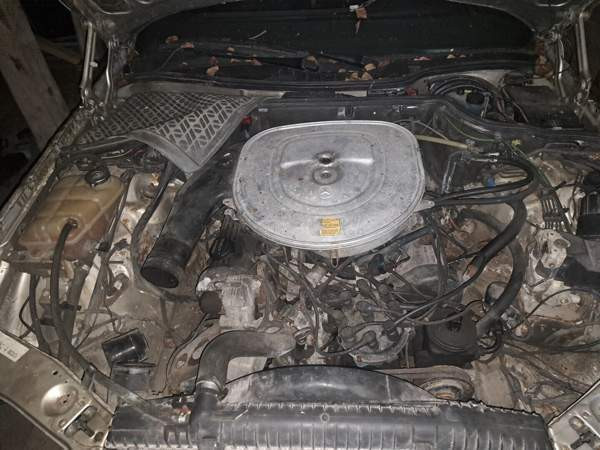 Mercedes-Benz SE Merikarvia - изображение 4