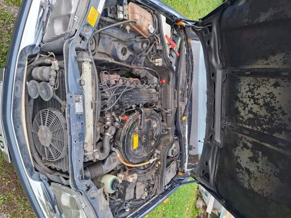 Mercedes-Benz SE Glebychevo - valokuva 7