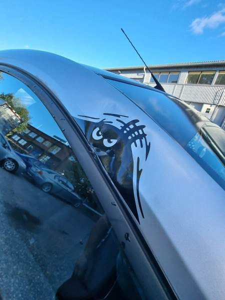 Smart Forfour Turtkul - photo 8