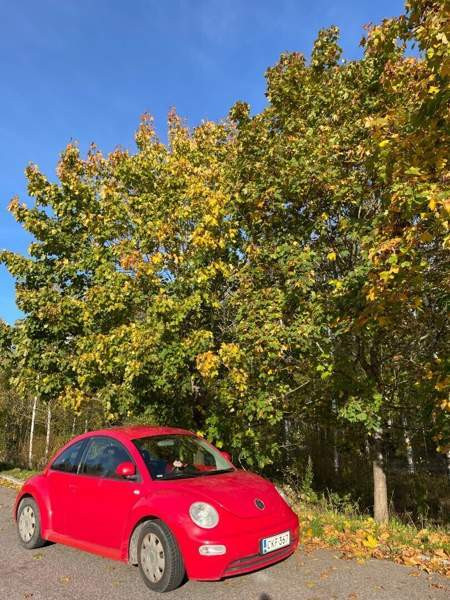 Volkswagen New Beetle Vantaa - valokuva 2