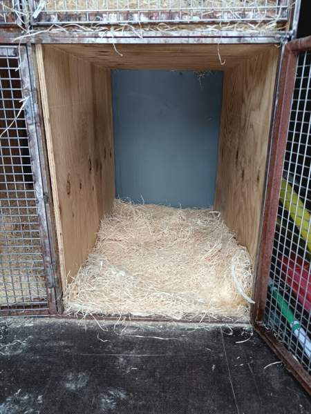 Fiat Scudo Muonio - изображение 8