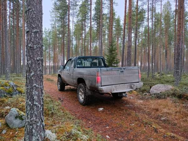 Nissan King Cab Piippola - valokuva 2