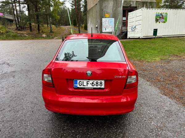 Skoda Octavia Glebychevo - valokuva 2