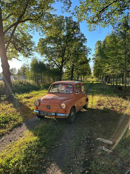 Fiat 600 Форсса - изображение 1