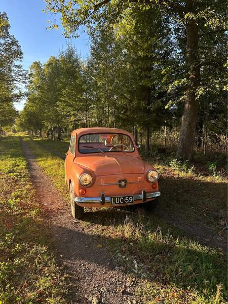 Fiat 600 Форсса - изображение 2