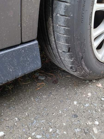Ford C-MAX Grand Pälkäne - photo 8