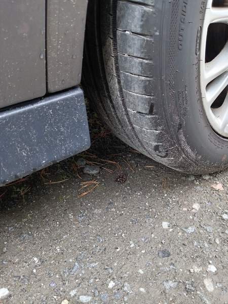 Ford C-MAX Grand Pälkäne - изображение 8